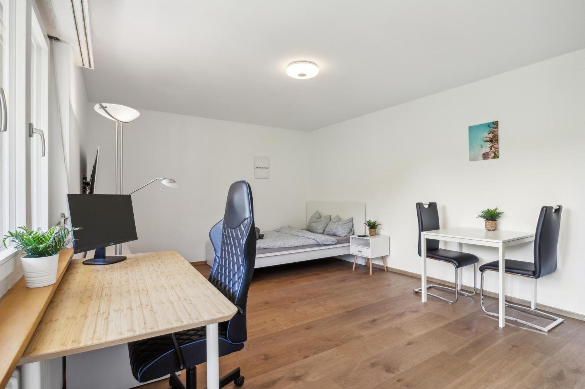 Pearlstay - Quiet Location Workplace Parking Washer Schaffhausen Luaran gambar