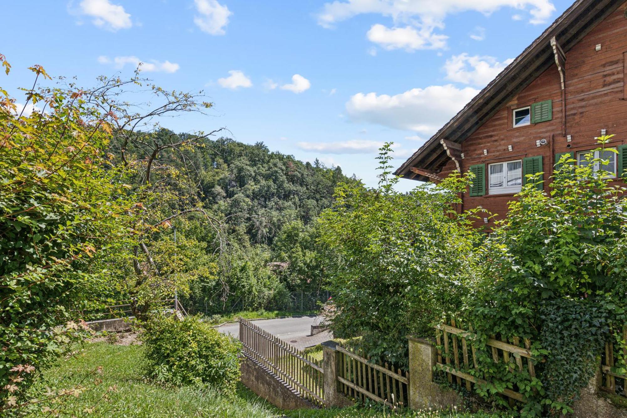 Pearlstay - Quiet Location Workplace Parking Washer Schaffhausen Luaran gambar